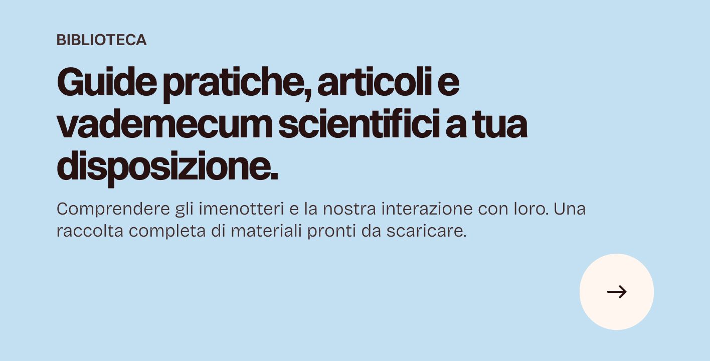 Immagine 7