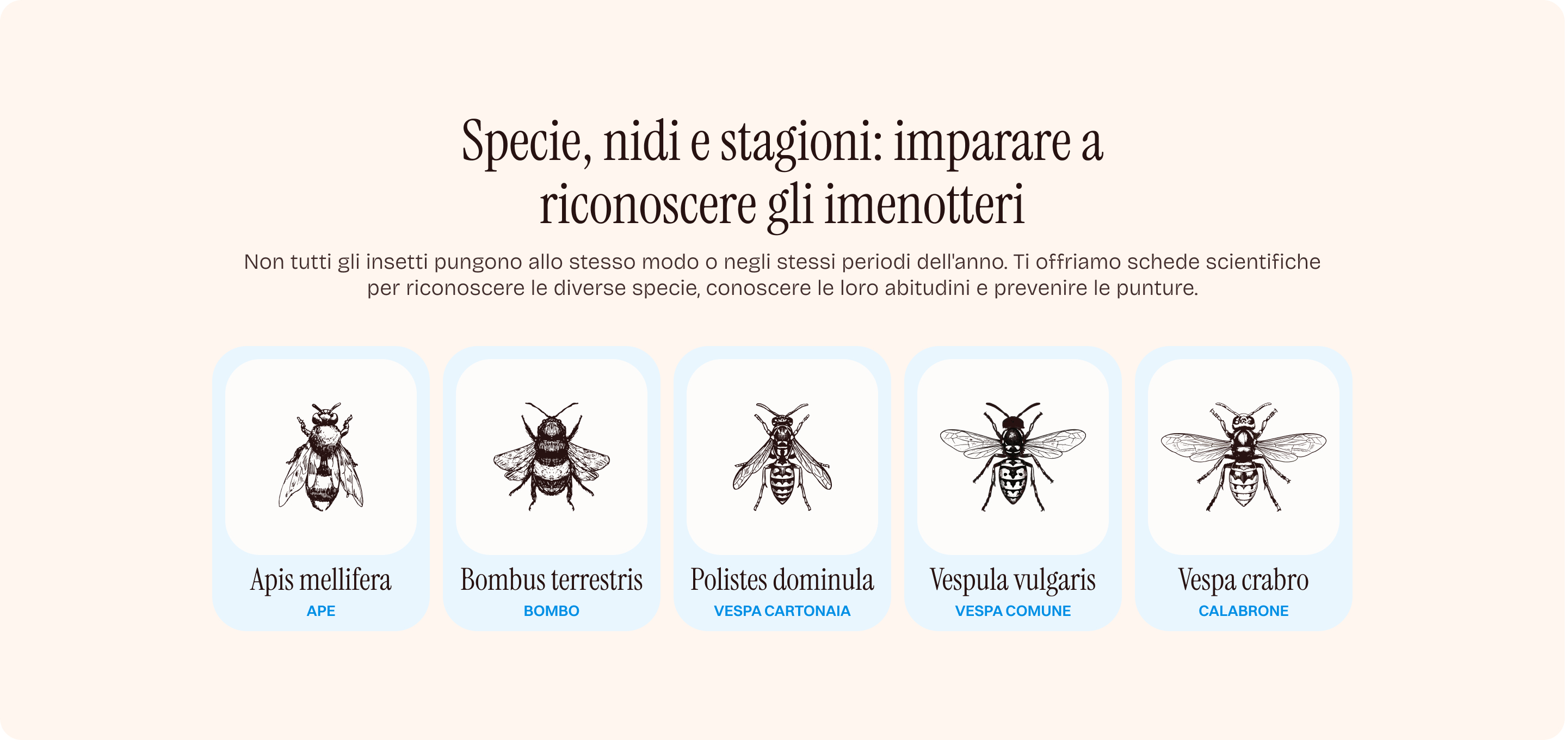 Immagine 8