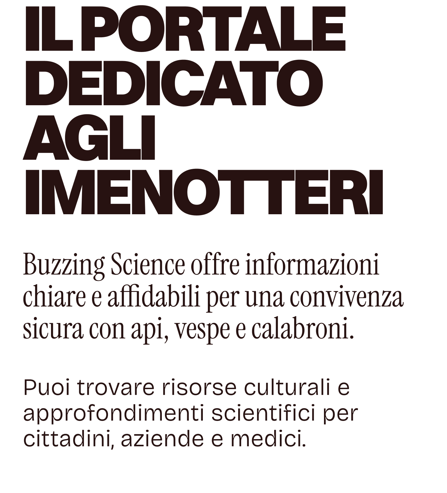 Immagine 9