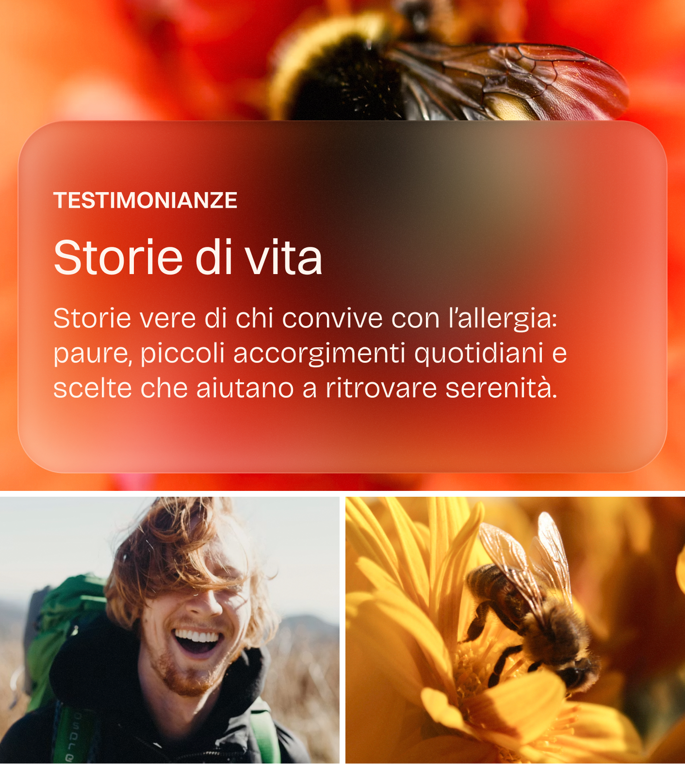 Immagine 10